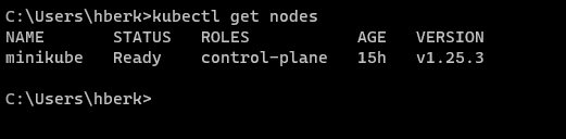 minikubegetnodes